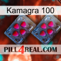 Kamagra 100 14